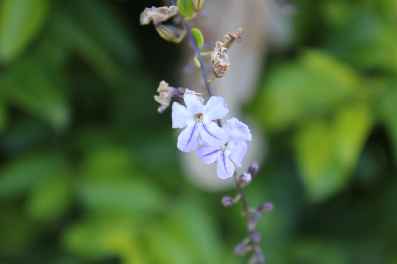 霧ヶ峰エアコンを10年使い続けるための選び方と賢い知恵｜後悔しないエアコン購入ガイド2025